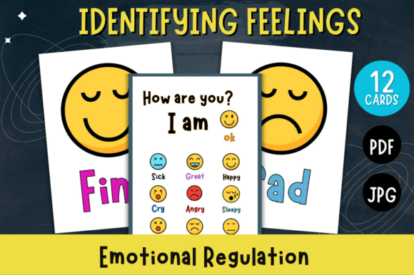 Identifying Feelings: Emotional Regulation for Visual Clarity